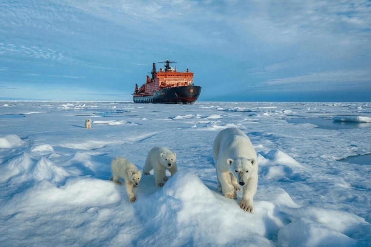 Школьники Димитровграда в возрасте 12–16 лет могут отправиться на Северный полюс.